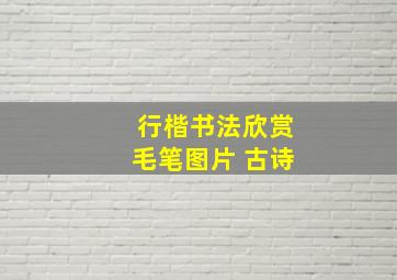 行楷书法欣赏毛笔图片 古诗